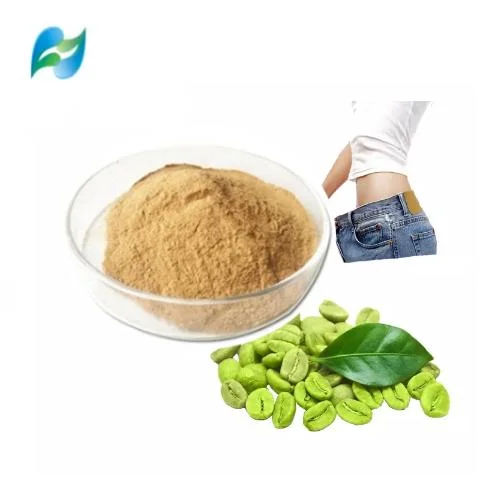 Slimming Weight Loss 50% Chlorogenic Acid Natural Green Coffee Bean Extract Powder