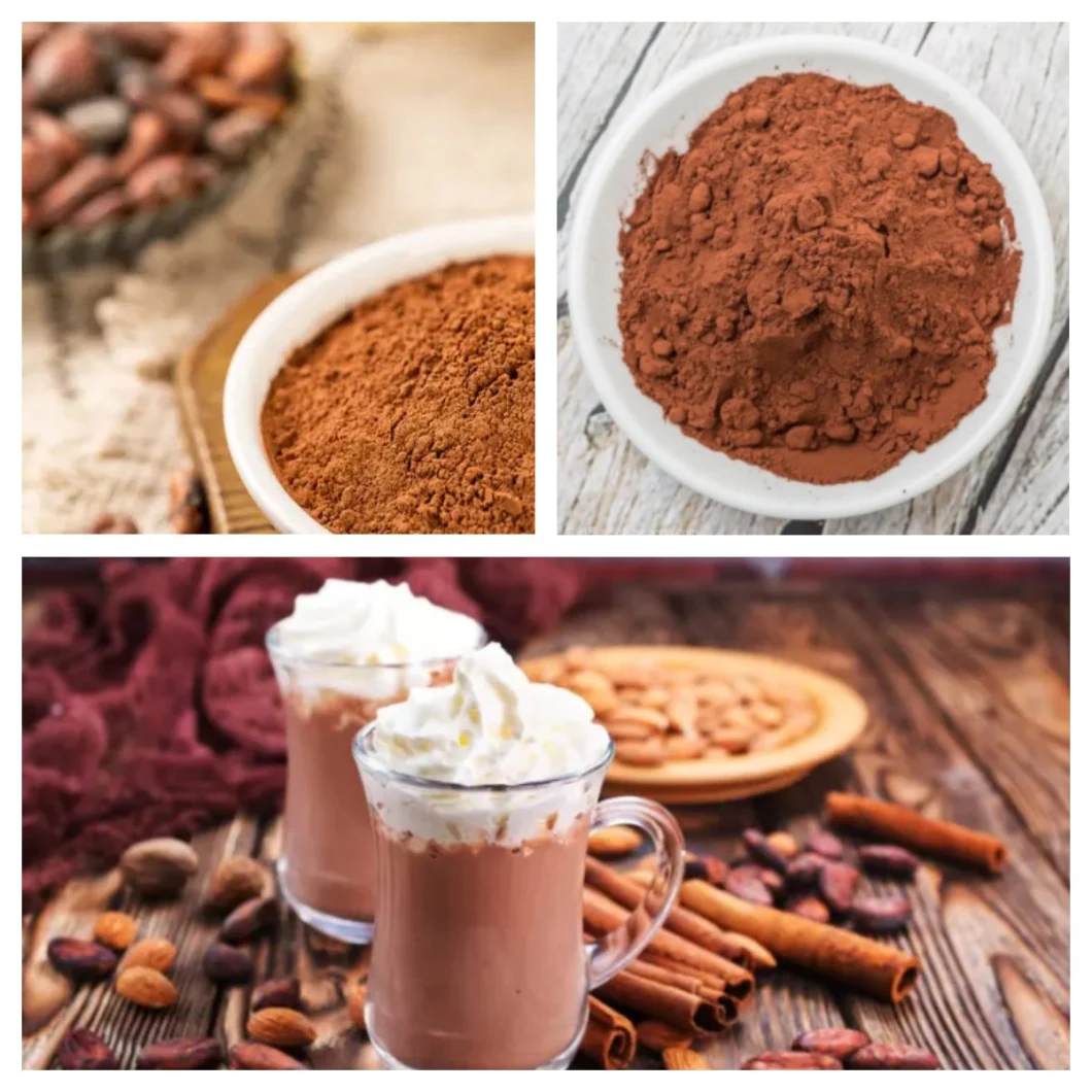 Alkalized Cocoa Powder Cocoa Powder Natural for Baking & Hot Chocolate