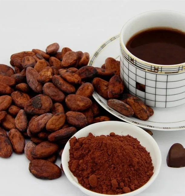 Plant Extract Cocoa Powder Health Food Chocolate