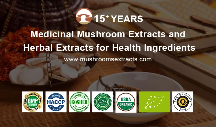 Organic Chaga Extract Powder Chaga Mushroom Chaga Extract Cordyceps Sinnensis Mushroom Powder for Mushroom Coffee