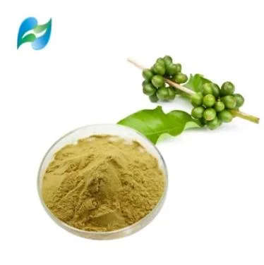 Slimming Weight Loss 50% Chlorogenic Acid Natural Green Coffee Bean Extract Powder