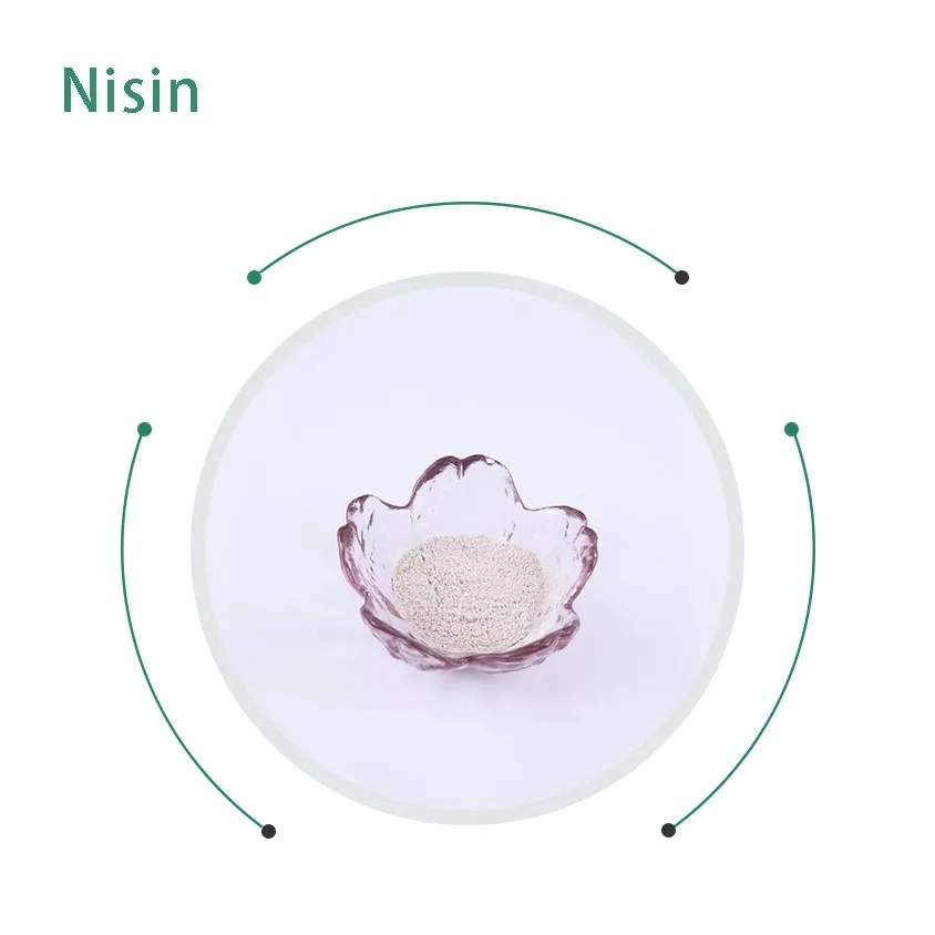 Soy Milk Dairy Product Yogurt Preservative Food Grade Nisin E 234 Powder Good Price MOQ 1kg