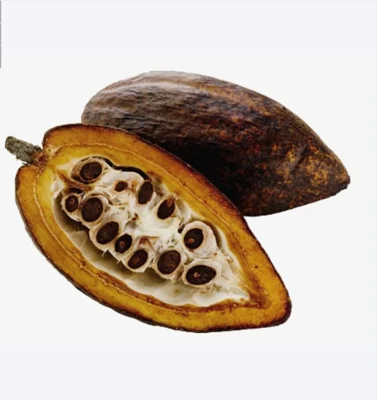 Растительный экстракт какао-порошка, органический пищевой шоколад